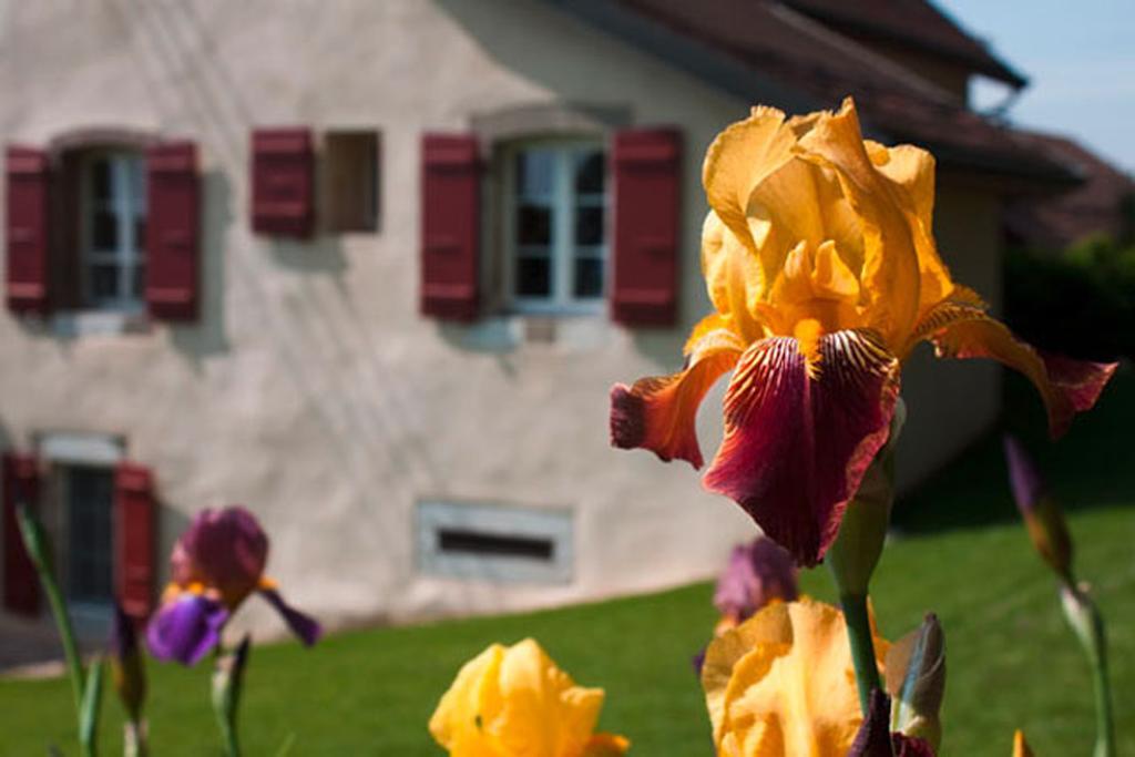 Bed and Breakfast La Belle Saison Mollens  Екстер'єр фото